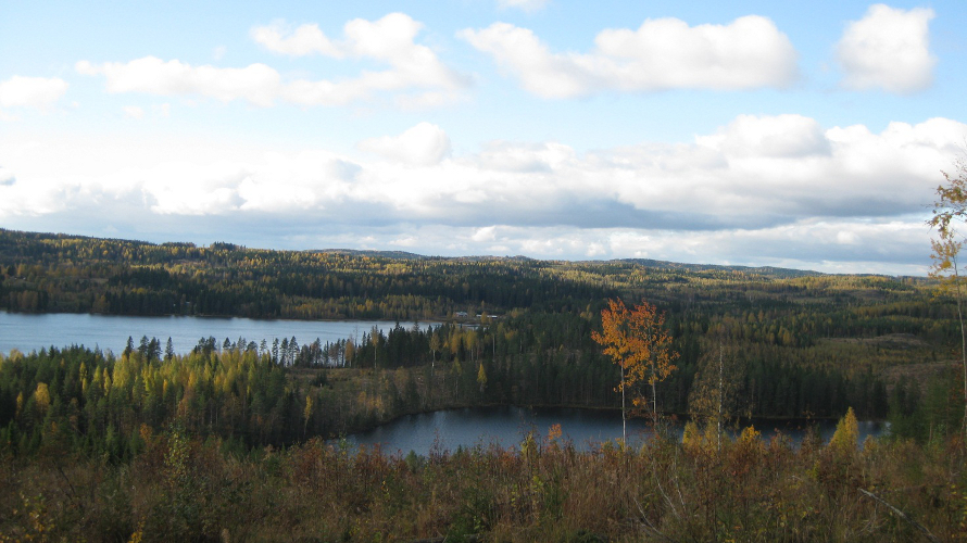 Maisemakuva Kaltimojärvestä